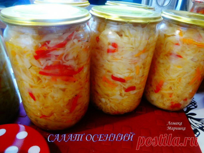 Салат из капусты | Марина Ломака | Яндекс Дзен