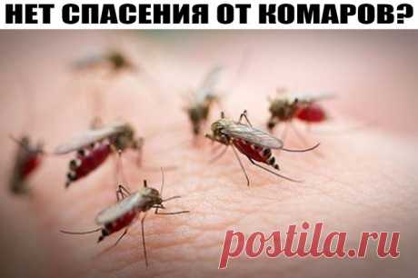(99) Одноклассники