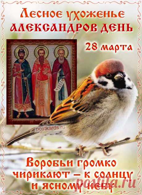 28 марта Александров день-Лесное ухоженье!