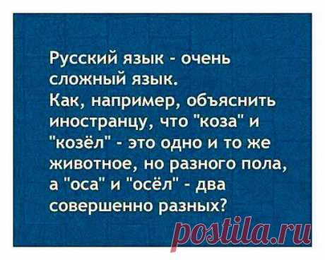 Русский язык: взрыв мозга для иностранцев + 44 страшилки русской грамматики