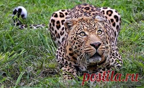 Самое интересное в мире: - natali5357@mail.ru - Почта Mail.Ru