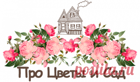 Рассада | flowergarden.pro