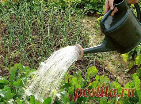 (5) Одноклассники