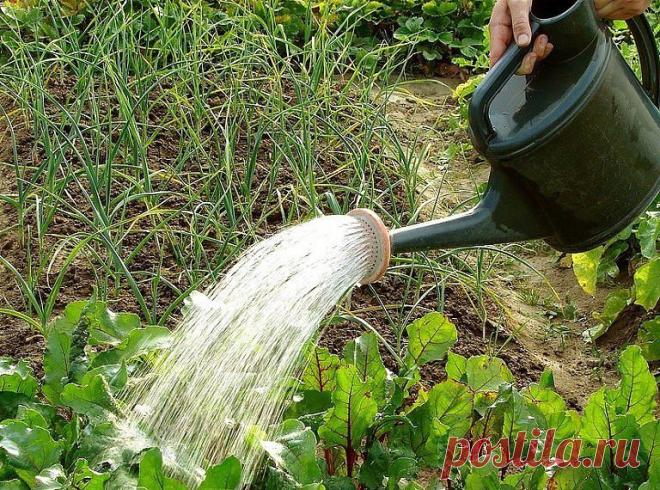 (5) Одноклассники