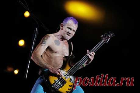 Басист Red Hot Chili Peppers предложил пожить в своем доме. Басист австралийско-американской рок-группы Red Hot Chili Peppers Майкл Бэлзари, известный как Фли, предложил пожить в своем доме. Музыкант выставил жилье в калифорнийском городе Малибу в аренду. Бэлзари просит за проживание в особняке 75 тысяч долларов (около 6,1 миллиона рублей) в месяц.