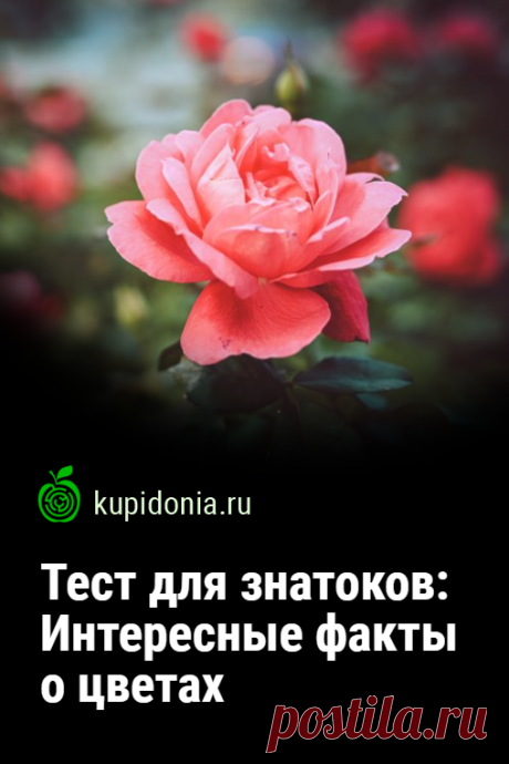 Тест для знатоков: Интересные факты о цветах. Цветы — одна из самых популярных тем на нашем проекте. Мы предлагали вам немало вопросов о них. А сегодня мы подготовили ещё один тест, собрав в них интересные факты об этих красивых растениях.