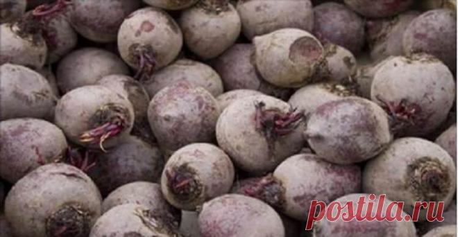 Мне 60 лет, и это растение вернуло мне зрение, удалило жир из моей печени и полностью очистила толстую кишку! — Жизнь под Лампой!