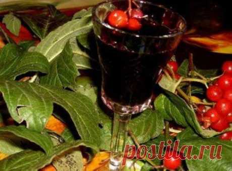 НАСТОЙКА "КАЛИНОВКА"