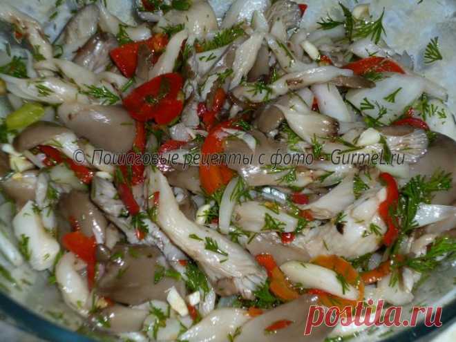 Дневник Братеевская