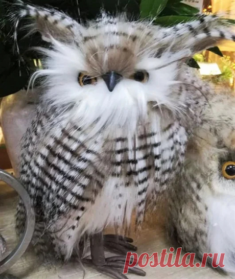 Совушки/Owls – Google+