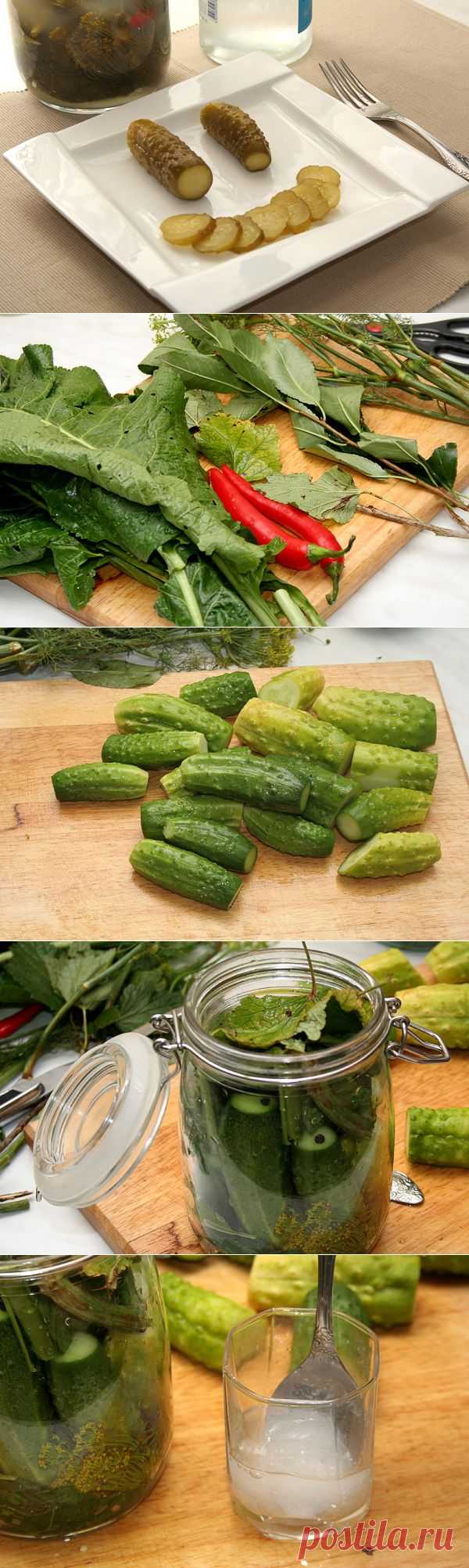 О приготовлении малосольных огурцов холодного засола — Вкусные рецепты