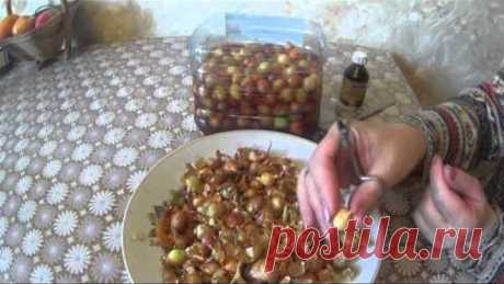 СУПЕР СРЕДСТВО ОТ ЛУКОВОЙ МУХИ!!!