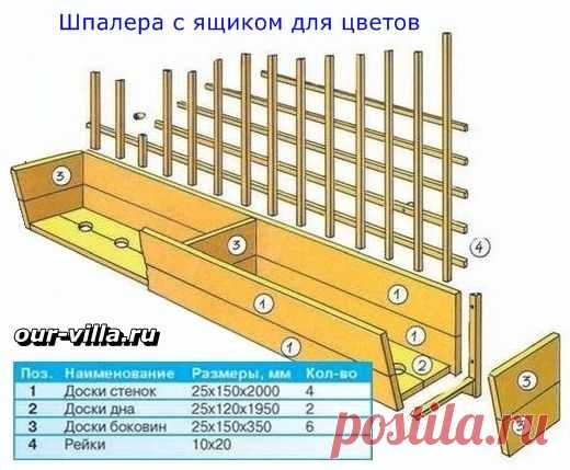 Шпалера для цветов на фасаде дачного дома