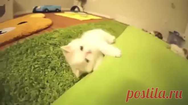 (50) Одноклассники