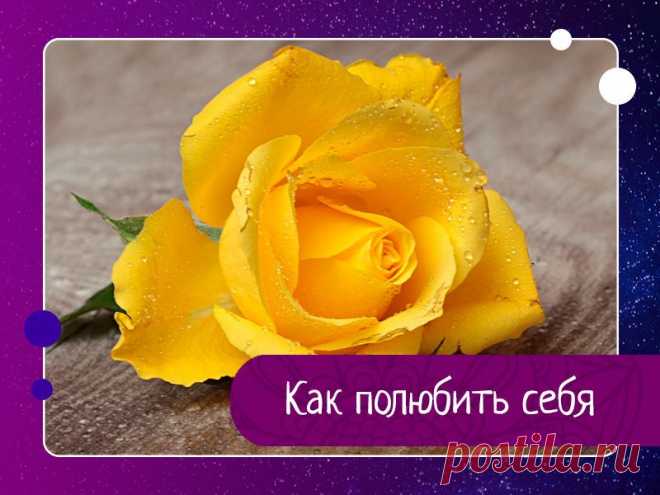 Как полюбить себя (философия Луизы Хей) 1. Прекратите критиковать. Критика никогда никого не меняет. Откажитесь от критики себя. Примите себя именно такими, как вы есть. Когда вы критикуете себя, ваши перемены негативны. Когда вы одобряете себя - вы меняетесь позитивно.2. Прекратите запугивать себя, терроризировать себя своими...