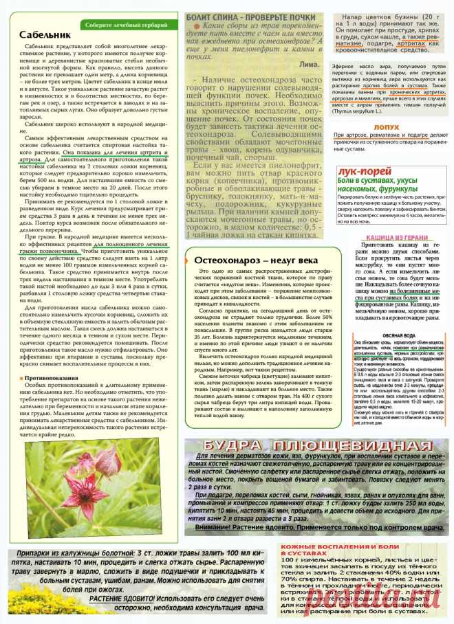 Грыжа позвоночника. Артроз. Остеохондроз