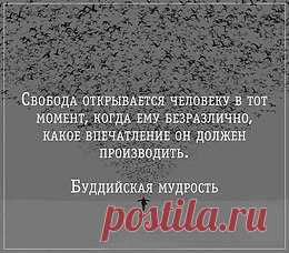 SHOW Me - Мужской журнал 18+