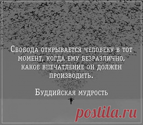 SHOW Me - Мужской журнал 18+