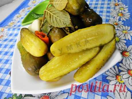 Засолка бочковых огурцов на зиму рецепт с фото пошагово и видео - 1000.menu