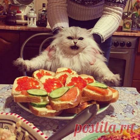 Большая подборка прикольных картинок | Чёрт побери Сборник прикольных картинок для поднятия настроения.                                                                    