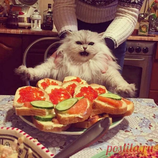 Большая подборка прикольных картинок | Чёрт побери Сборник прикольных картинок для поднятия настроения.                                                                    