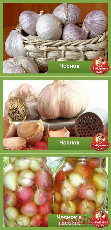 Как солить чеснок головками: простые рецепты