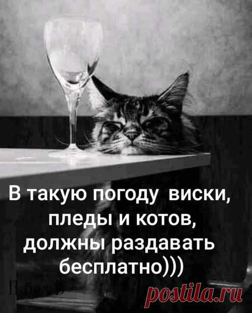 хх