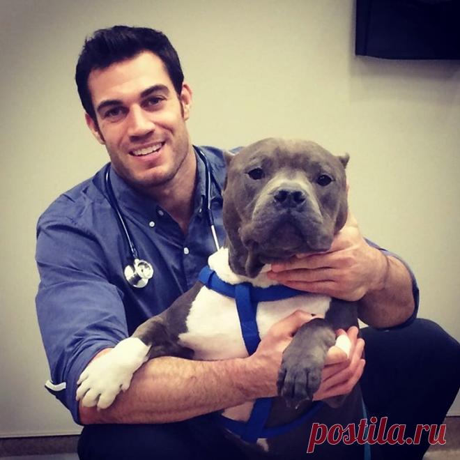 Сексуальный ветеринар стал новой звездой Instagram фото - Леди Mail.Ru