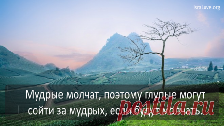 Соломон. Высказывания в картинках