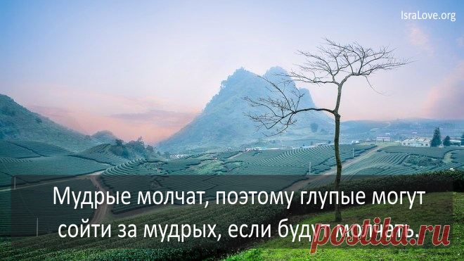 Соломон. Высказывания в картинках
