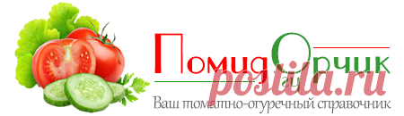 Засолка зеленых помидор холодным способом в кастрюле (рецепты)