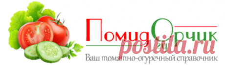 Засолка зеленых помидор холодным способом в кастрюле (рецепты)