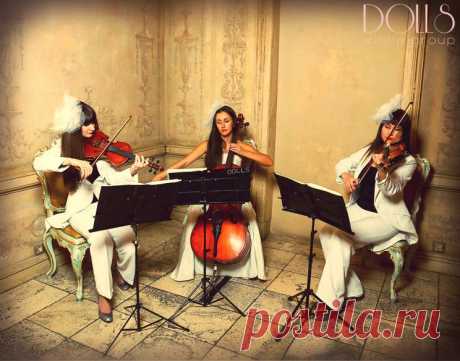 Профессиональное музыкальное сопровождение мероприятий - струнное трио Violin Group DOLLS.