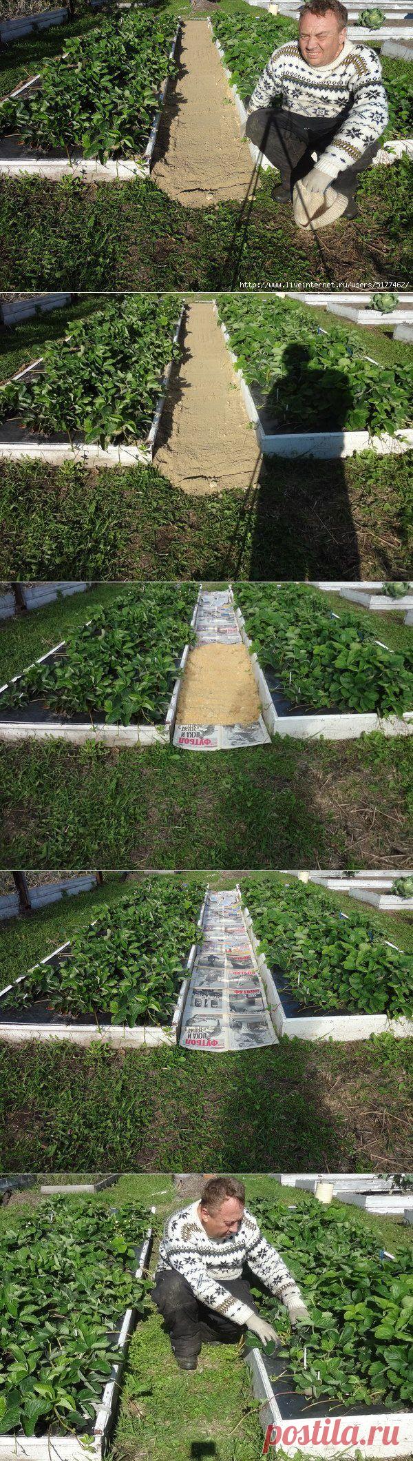 КАК СДЕЛАТЬ ЧТОБЫ В ПРОХОДАХ МЕЖДУ ГРЯДКАМИ ТРАВА НЕ РОСЛА Совет от Игоря Лядова.