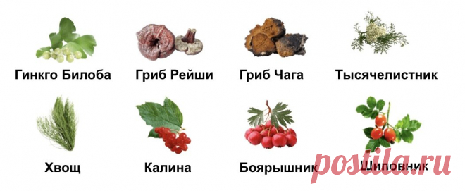 Чистка сосудов от отложений холестерина (рецепт с Алтая) | Вестник здоровья. Для тех, кому за 50 | ПромоСтраницы