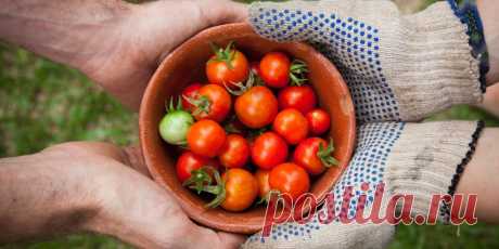 18 продуктов, которые продлят вашу жизнь - Лайфхакер
