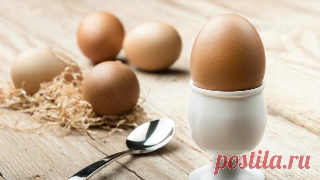 Ешьте правильно и живите дольше: эти 9 продуктов помогают оставаться молодым и здоровым на долгие годы | MEREL | KITCHEN | Дзен