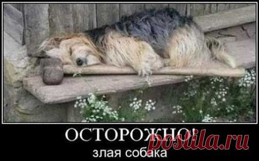 Google+