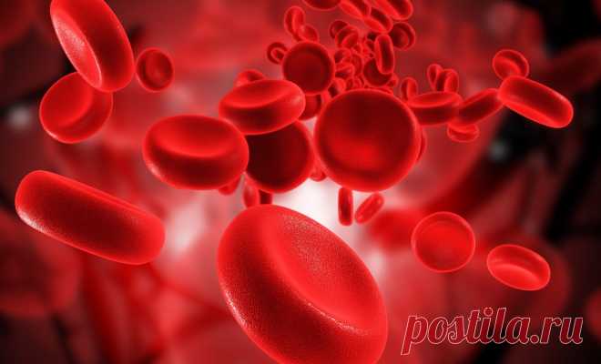 ХАРАКТЕРИСТИКА ЛИЧНОСТИ ПО ГРУППЕ КРОВИ