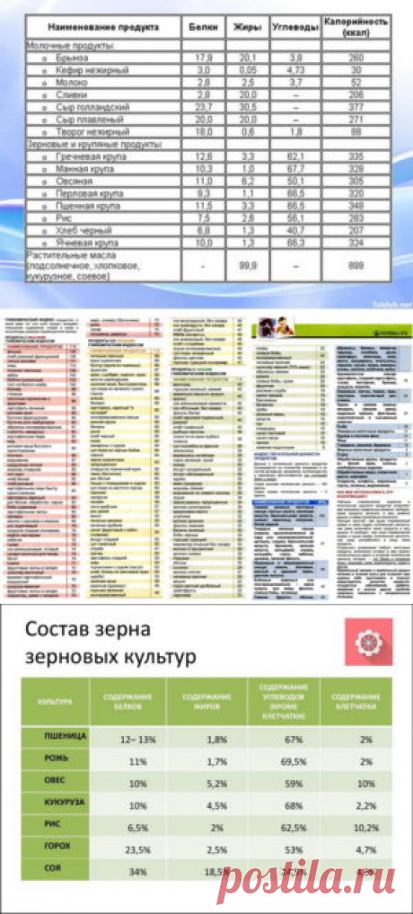Энергетическая ценность зеленой массы различных культур - БиоКорова