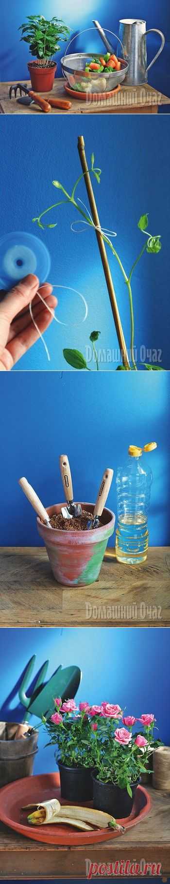 Это полезно знать! | Познавательный сайт ,,1000 мелочей"