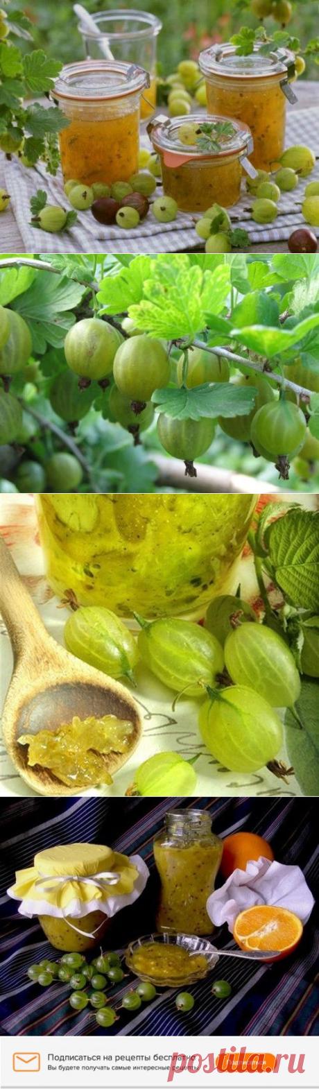 Варенье из крыжовника: царское угощенье / Простые рецепты