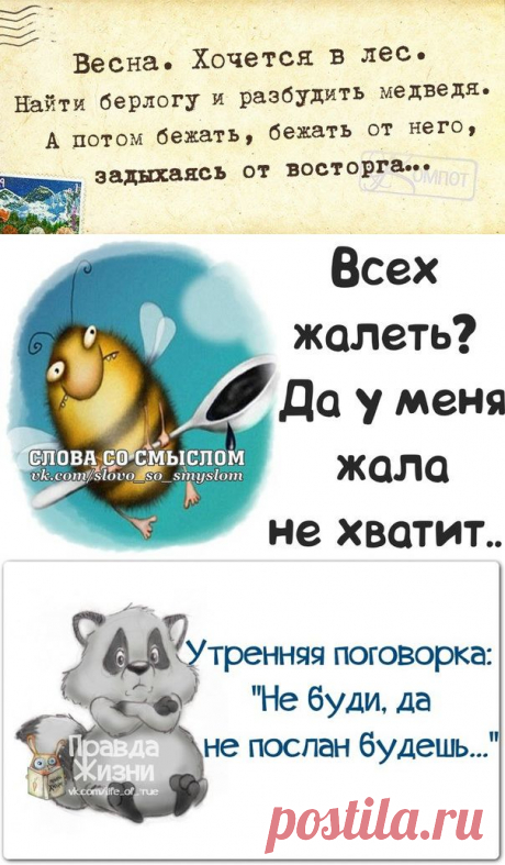 Прикольные фразочки в картинках.