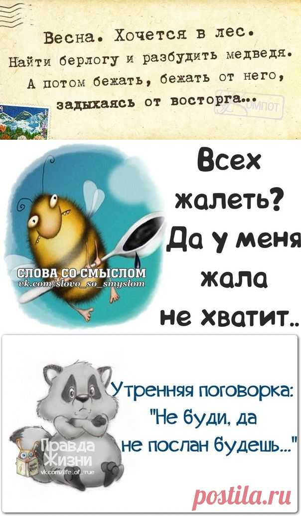 Прикольные фразочки в картинках.
