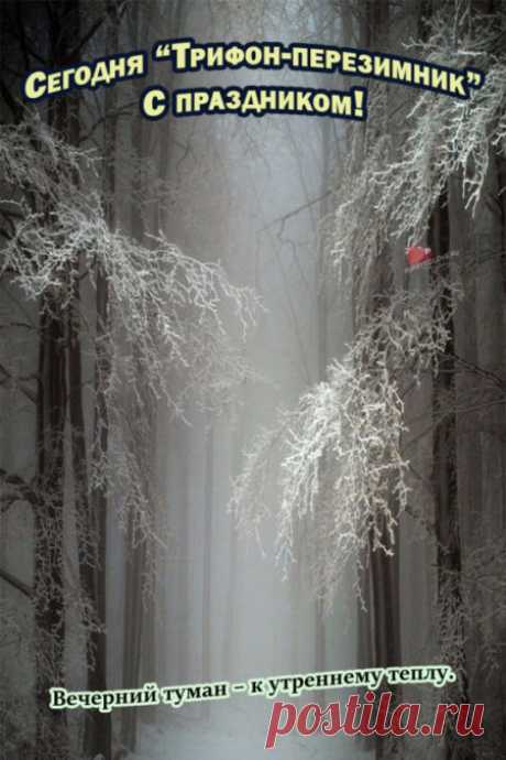 Картинки на Трифонов день: открытки с надписями на 14 февраля 2024
