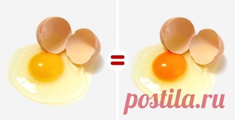 10 ошибок, из-за которых мы тратим на продукты больше