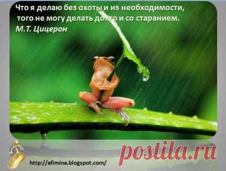 (1) Лицо бизнеса