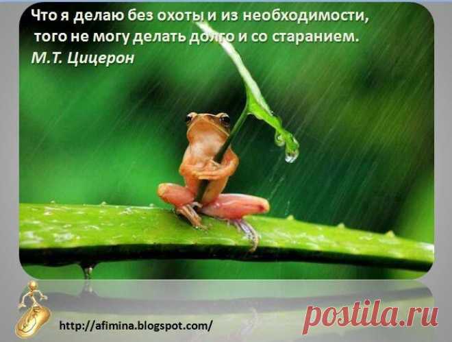 (1) Лицо бизнеса