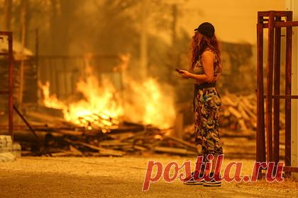 Пожары в Турции назвали национальной катастрофой. Власти Турции назвали лесные пожары, охватившие страну, национальной катастрофой. Пожары уже добрались до населенных пунктов Гюверджинлик в районе Бодрума, Дидиме в провинции Айдын и Еникей в Аланье. Экстренные службы продолжают бороться с огнем. Власти Турции считают, что пожары могли возникнуть в результате поджогов.
