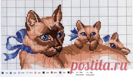 Коты и кошки. ЧАСТЬ 5 / Вышивка / Схемы вышивки крестом